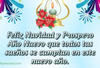 Resultado de imagen de feliz navidad y prospero año nuevo 2019